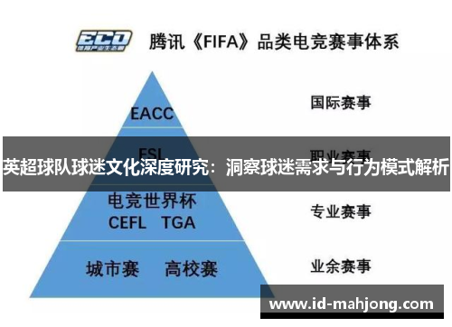 英超球队球迷文化深度研究：洞察球迷需求与行为模式解析
